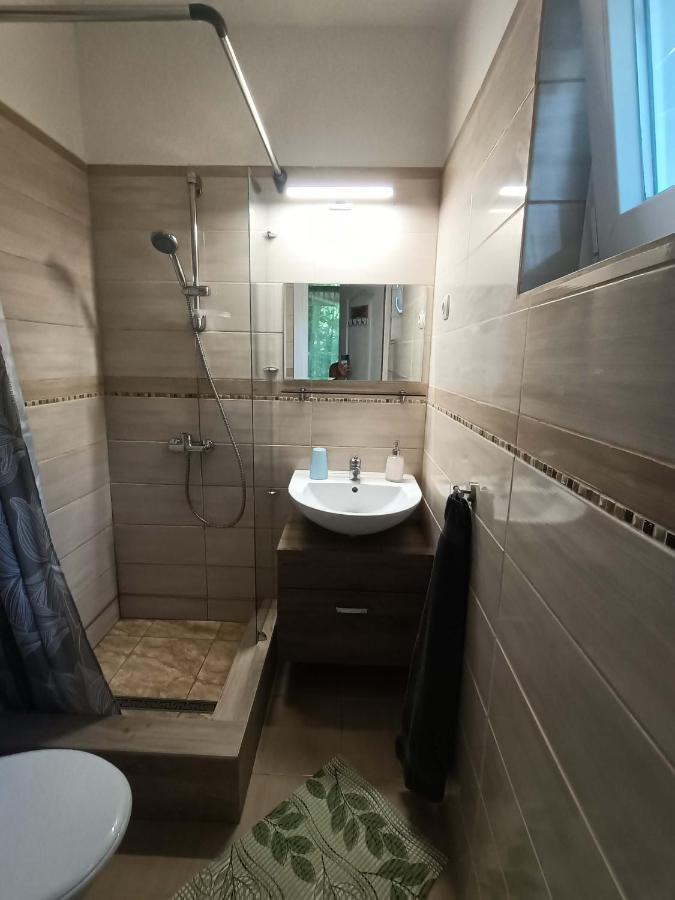 Hotel Tölgyfa Panzió Balatonszepezd Exterior foto